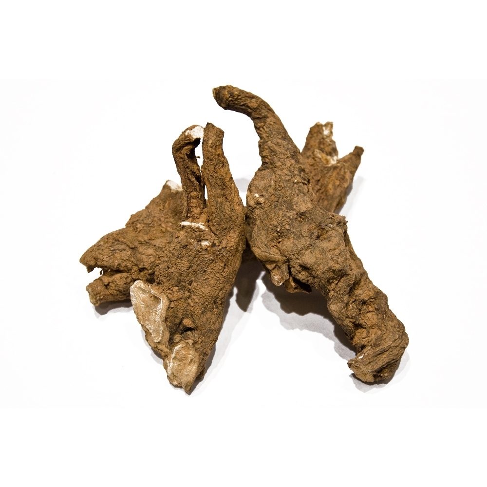 Koreň mandragory. 20 g.