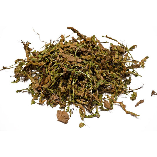 Scorpidohorto. 30 g.